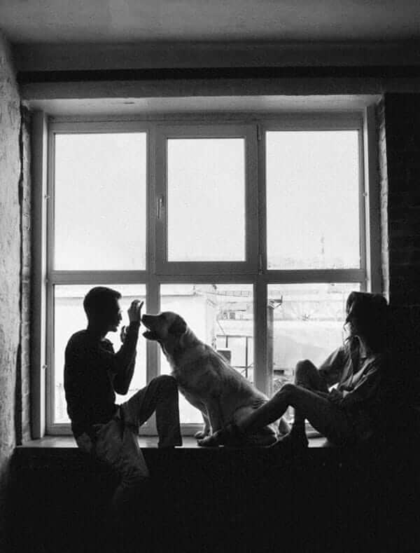 couple sitting on a window sill with thier healthy dog