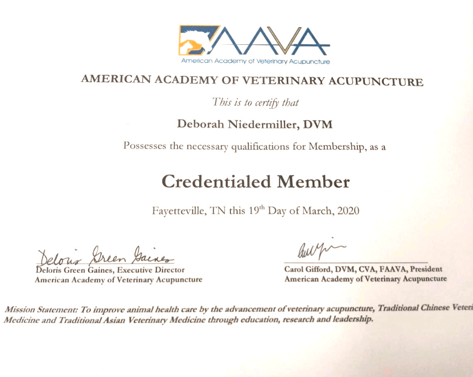 Dr. Deb Niedermiller, DVM certificate of credentialed member of the American Academy of veterinary acupuncture