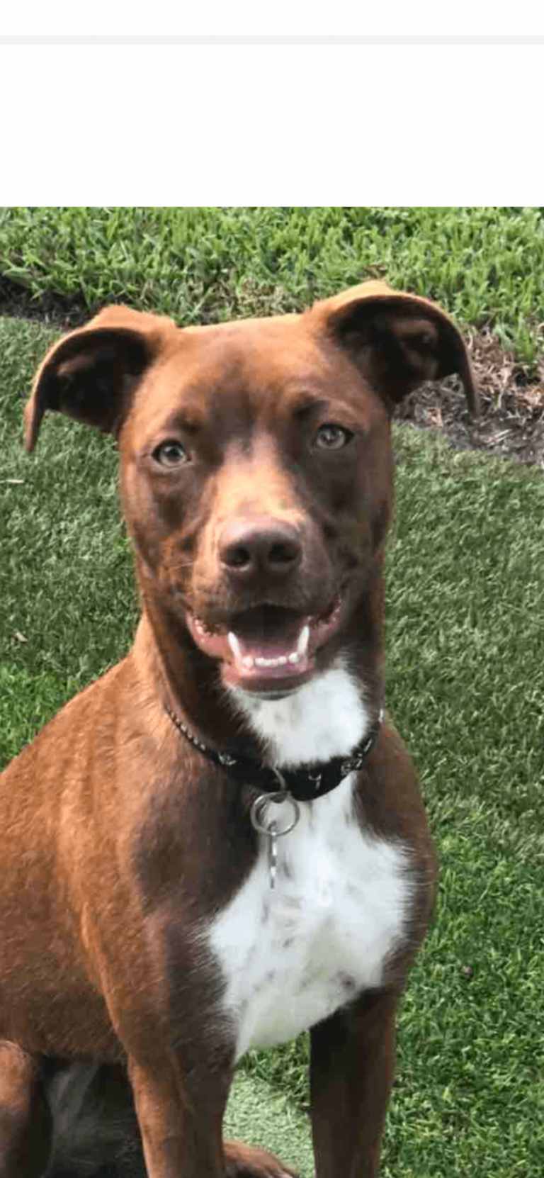 Alexandra “Pet of the Month of April/May”