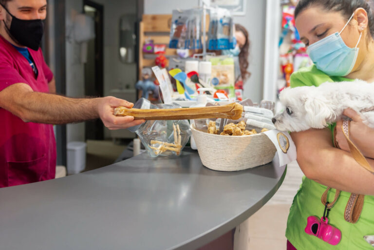 The Importance of Regular Health Checks at a Local Animal Clinic in Deerfield Beach, FL